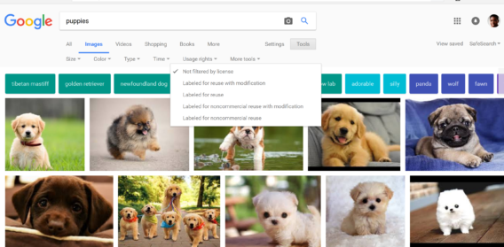 google image search